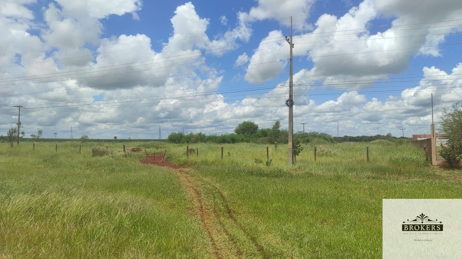 Vendo propiedad de 22 hectareas  sobre ruta 250 m de frente en PJC Amambay — foto 3