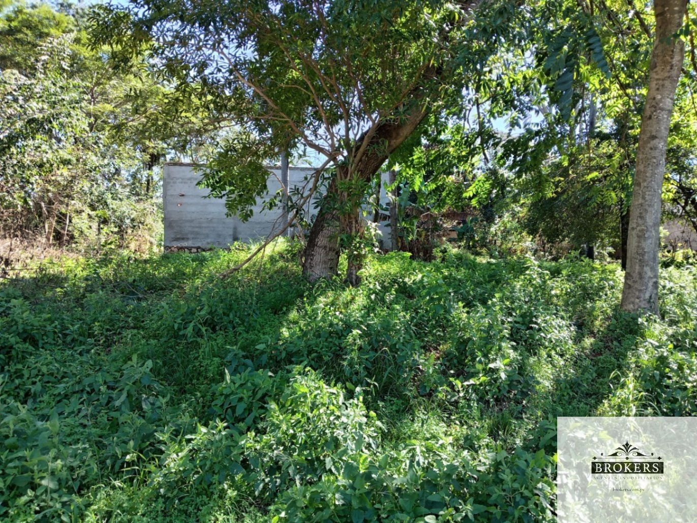 Vendo Hermoso Terreno De 374 m2 En La Ciudad De Ñemby Zona Pulp — foto 2