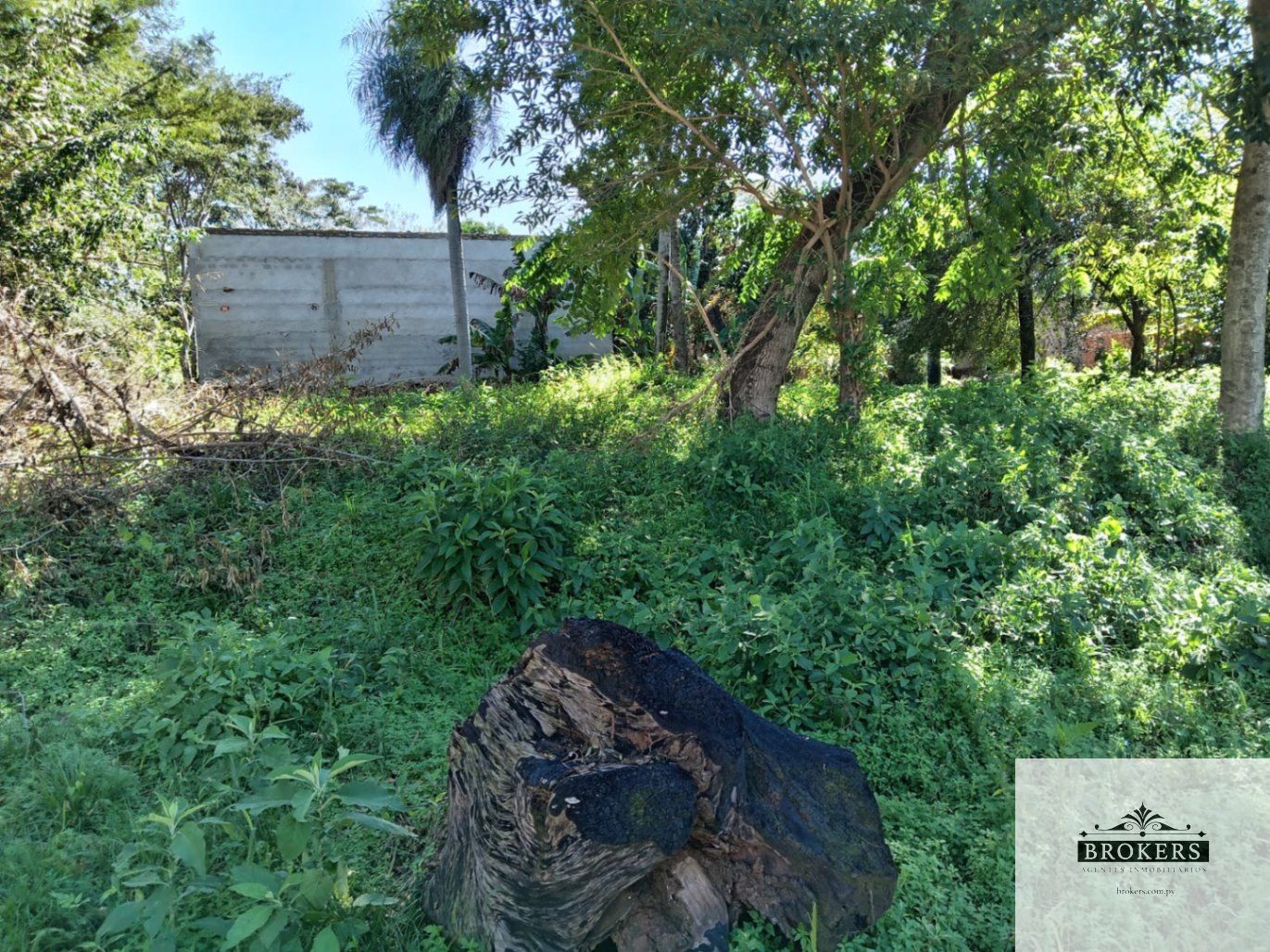 Vendo Hermoso Terreno De 374 m2 En La Ciudad De Ñemby Zona Pulp — foto 3