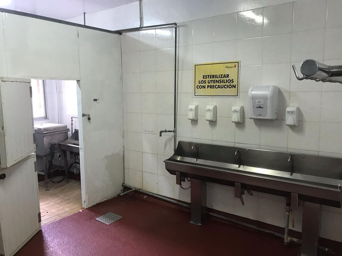 Alquilo Frigorífico Listo Para Trabajar Con Capacidad Para 650 Animales Por Día — foto 3
