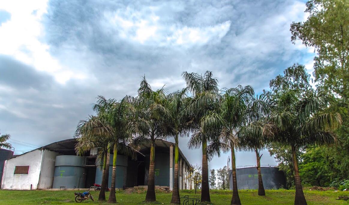 Vendo Fabrica De 91 Hectareas En Arroyos y Esteros — foto 2