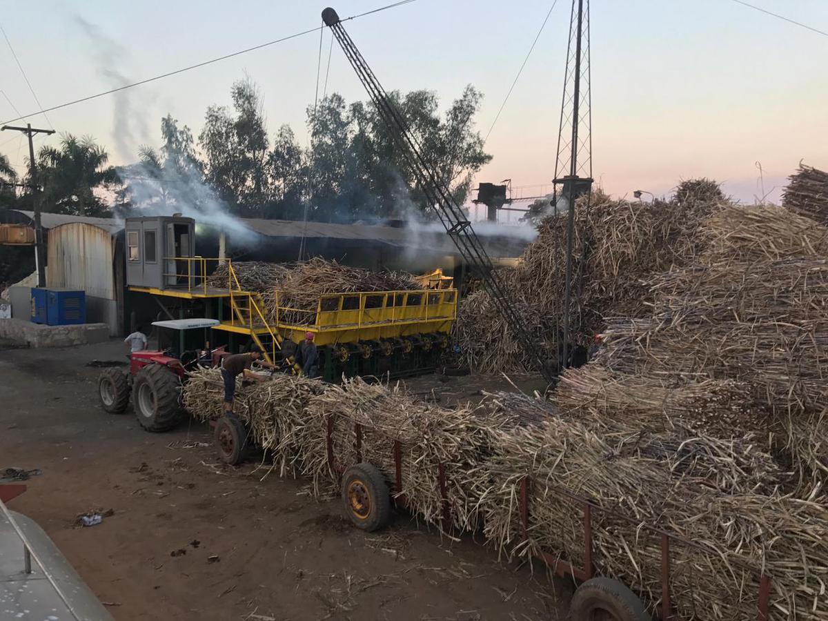Vendo Fabrica De 91 Hectareas En Arroyos y Esteros — foto 3