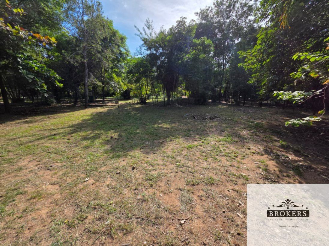 Vendo Amplio Terreno De 3.200 m2. En La Ciudad De Limpio — foto 2