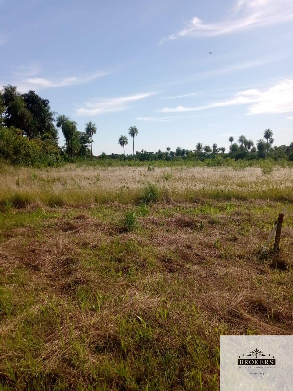 Vendo Campo de 10 Hectáreas con Casa a terminar en Paraguarí Pirayu — foto 3