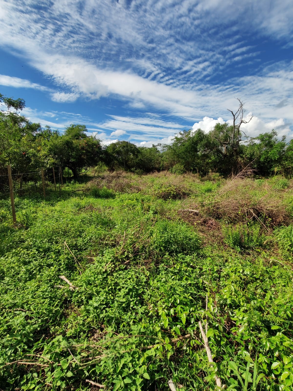 VENDO TERRENO EN GUARAMBARE — foto 2