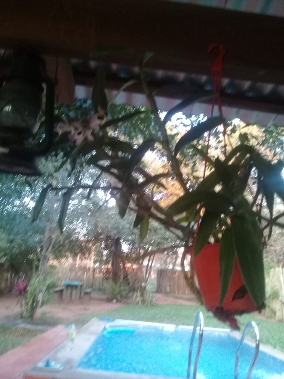 EN VENTA!!! PROPIEDAD EN PIRIBEBUY — foto 3