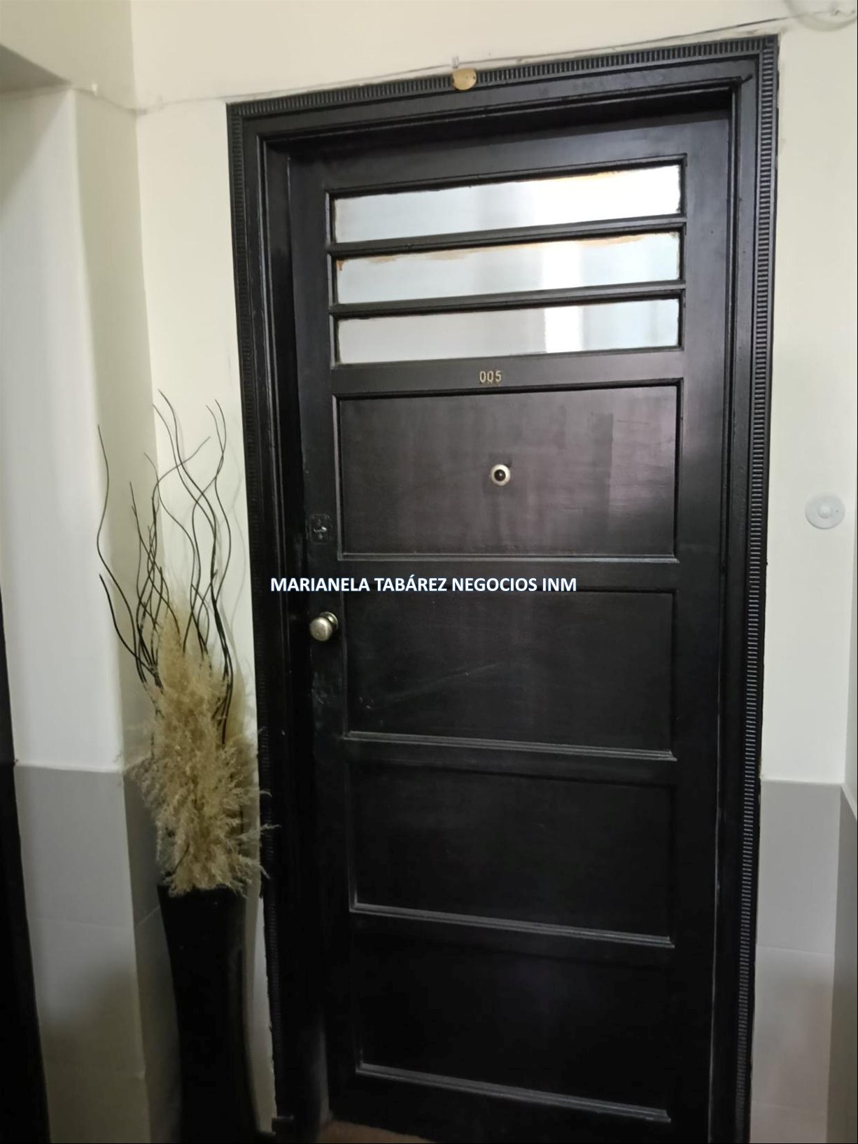 Alquiler Monoambiente en Barrio  Sur Planta baja , Reciclado a nuevo, SIN GASTOS COMUNES · Foto 7