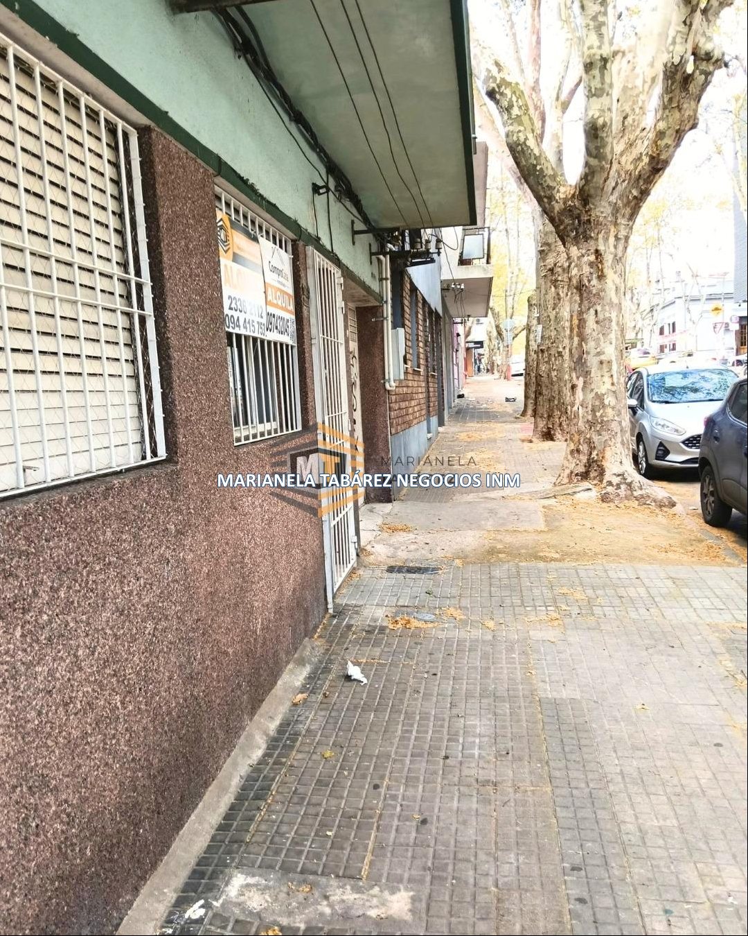 Alquiler Hermosa Casa 1 dorm.   al frente en Parque Rodo, con 2 patios y a pasos de Facultad Comunicación y  economía · Foto 4