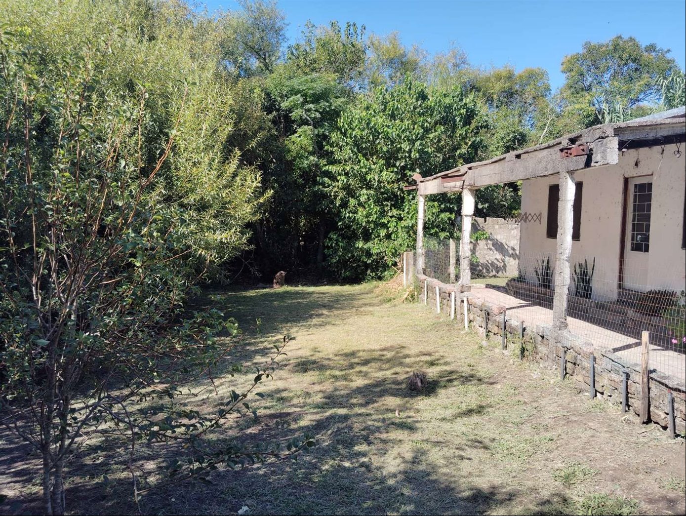 Venta 3 Casas en un padrón, ya Rentadas Barrio Capra, terreno 2000m3, FINANCIA con entrega importante