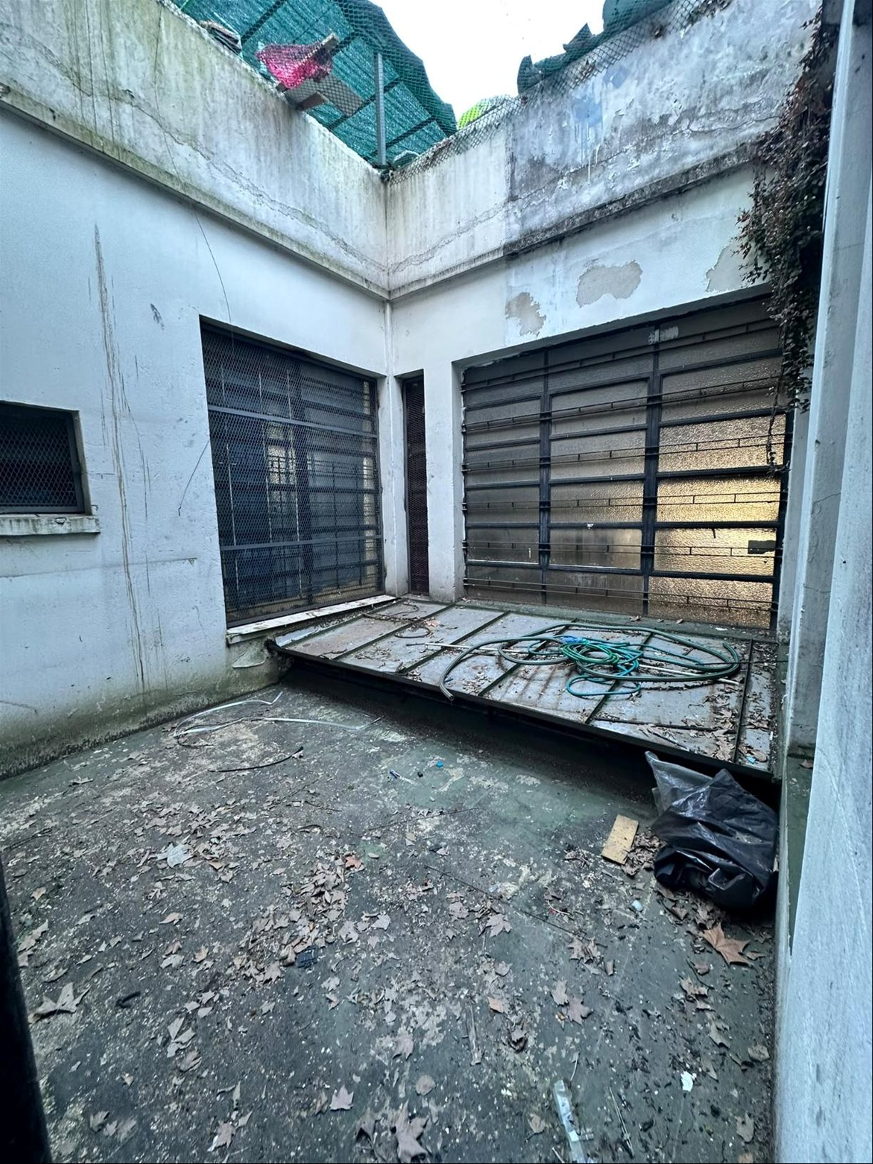 Alquiler y Venta Gran Local Comercial en Unión Sobre 8 de Octubre · Foto 4