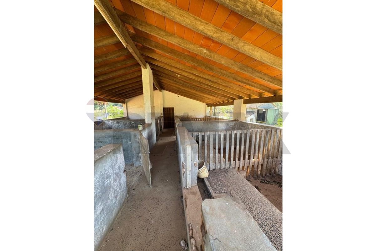 Finca Agrícola - Venta - Caacupé, Cordillera, Paraguay — foto 3