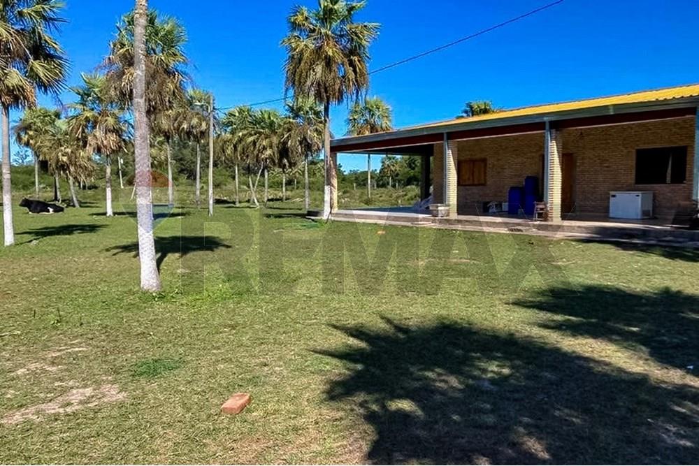 VENDO TERRENO/ESTANCIA 40 HECTÁREAS BENJAMÍN ACEVAL — foto 3
