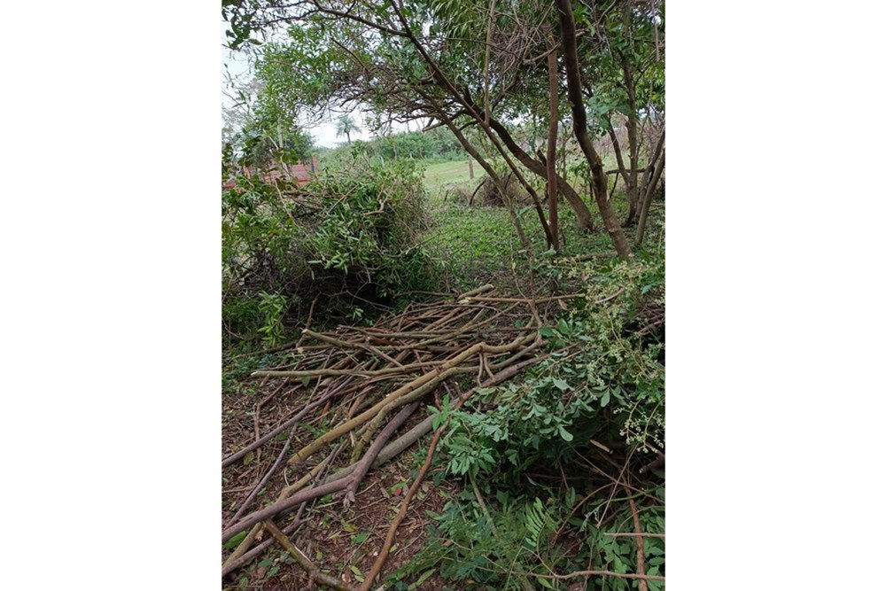 TERRENO EN VENTA - LA COLMENA — foto 3