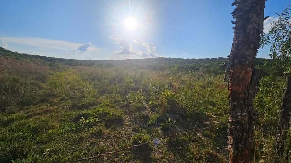 Venta 102 Hectareas en Nueva Colombia — foto 2