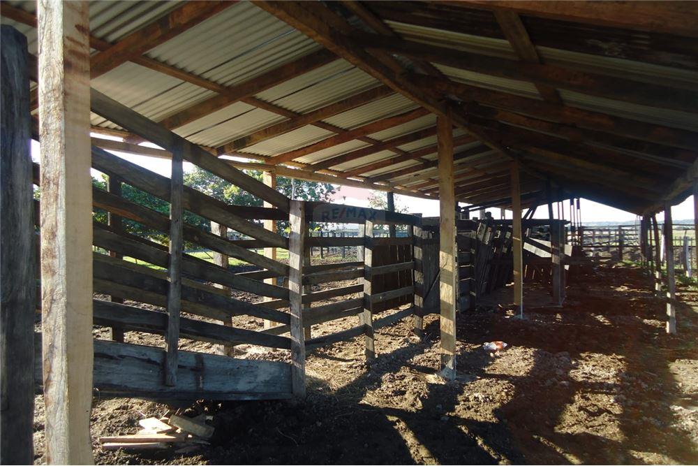 VENDO ESTANCIA FORMADA DE 77 HA EN SAN PEDRO! — foto 2