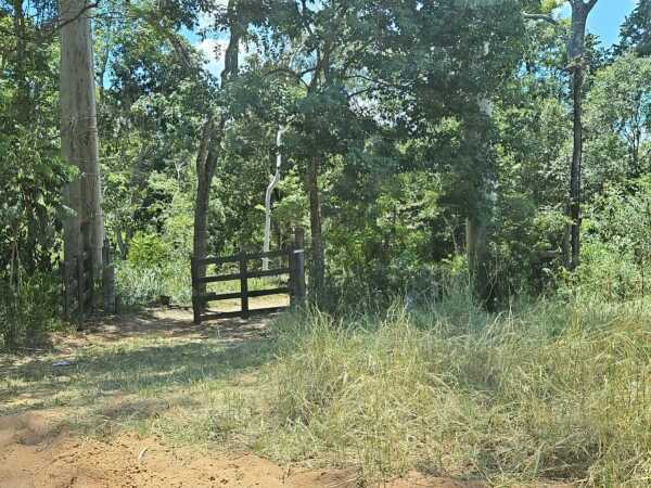 Terreno plano en Altos, frente a granja Don Papalo — foto 2