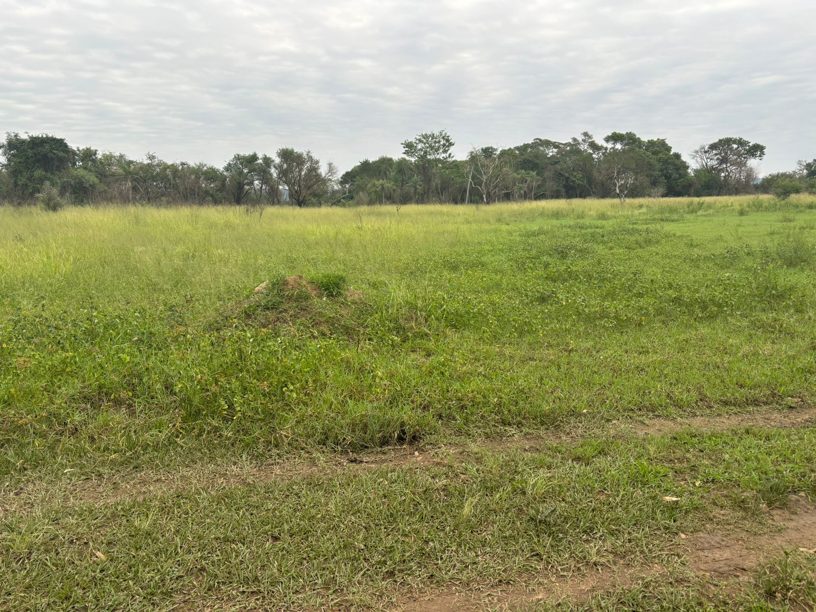 EN VENTA  HERMOSO TERRENO EN SANBER — foto 2
