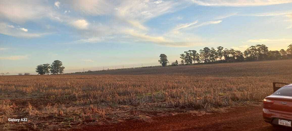 VENDO LOTE EN HERNANDARIAS — foto 2