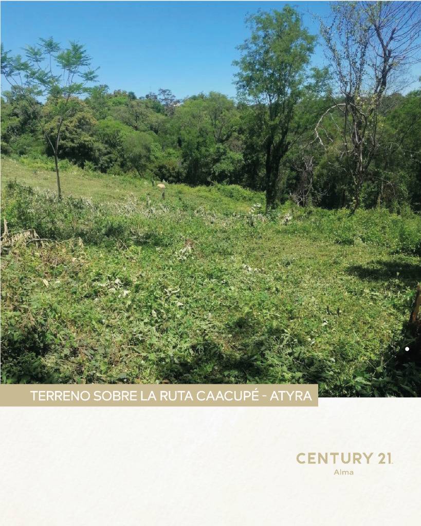 TERRENO EXCLUSIVO SOBRE RUTA CAACUPÉ – ATYRÁ — foto 3