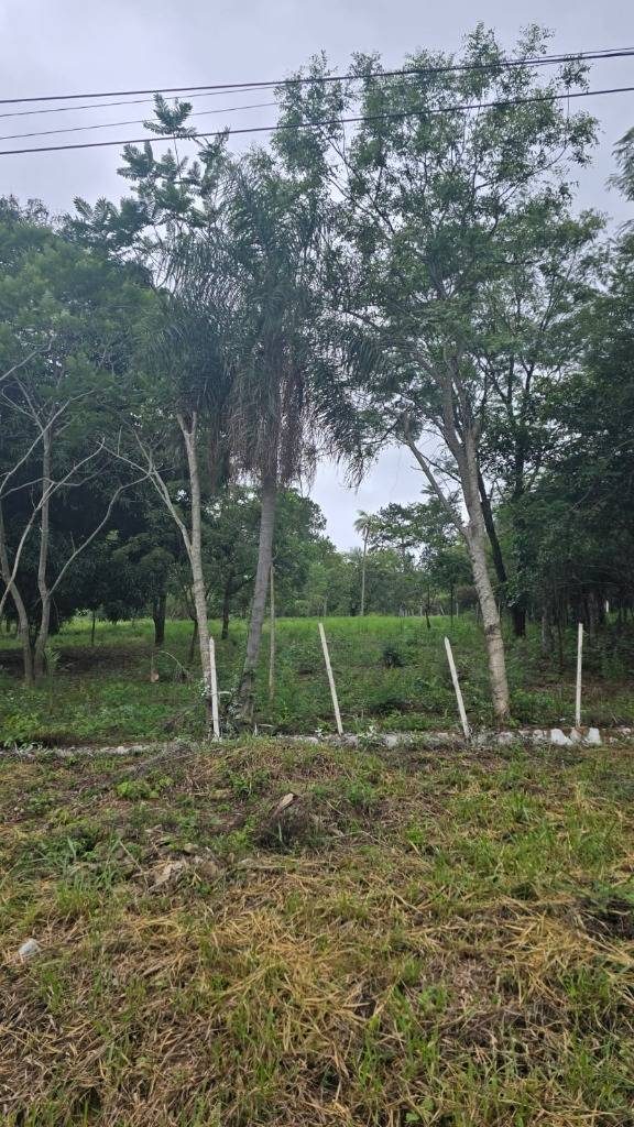 VENDO AMPLIO TERRENO CON VISTA AL LAGO — foto 3