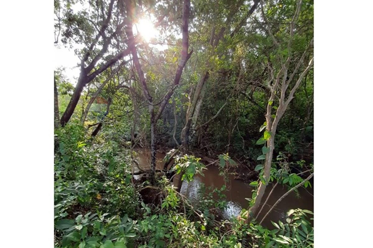 TERRENO 8 HECTAREAS VENTA ZONA DE CAACUPE — foto 3