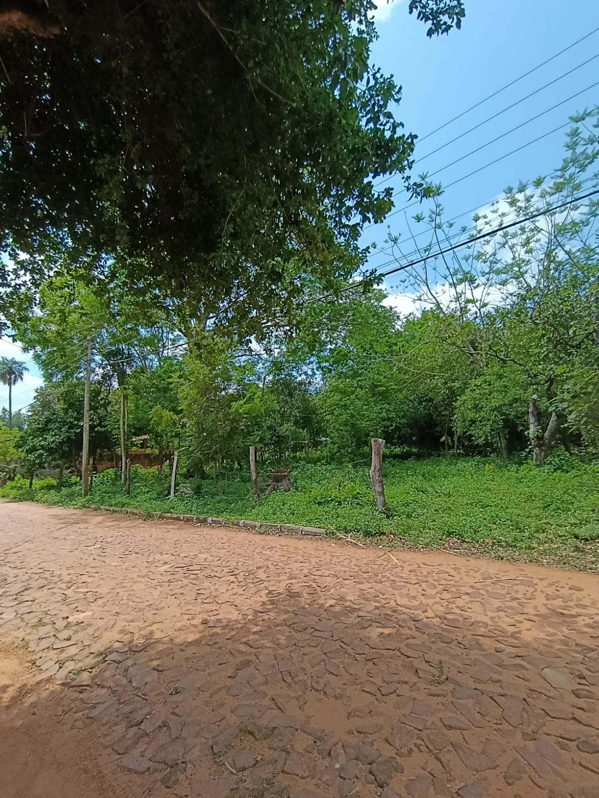 Terreno amplio en Caacupé — foto 2