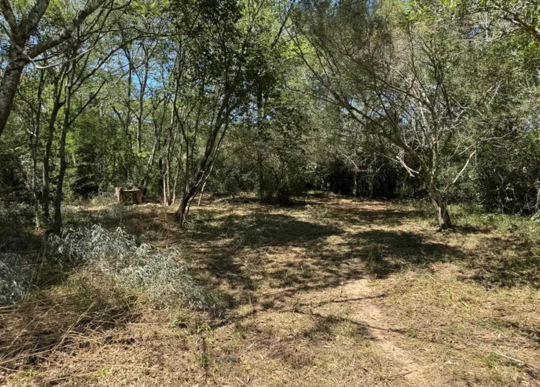 VENDO EN LOMA GRANDE 7 LOTES JUNTOS — foto 3