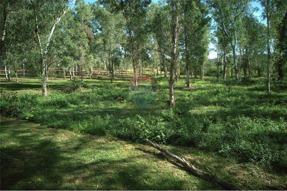 REMATO  HERMOSO Y AMPLIO TERRENO EN SANBER — foto 3