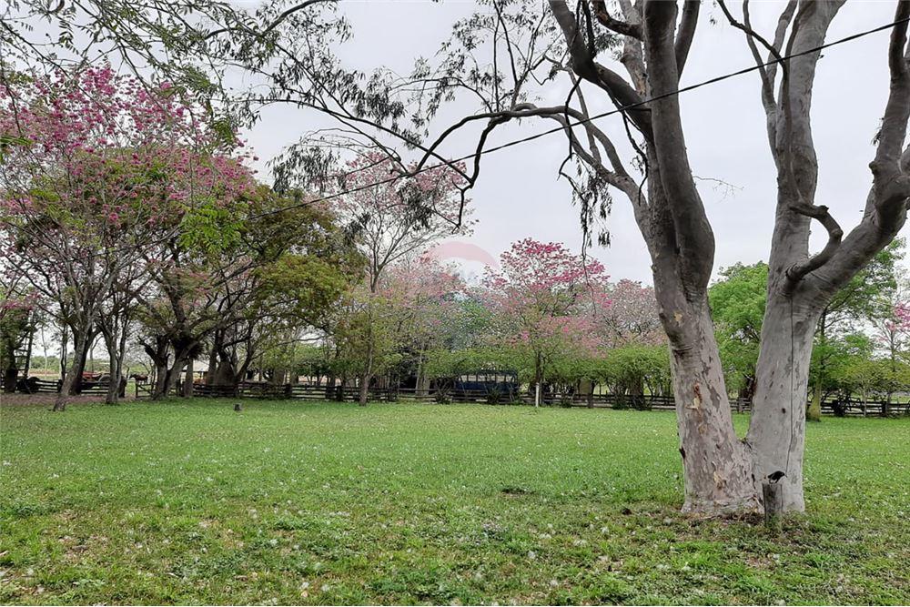 Estancia Formada a 223 kms de Asuncí — foto 2