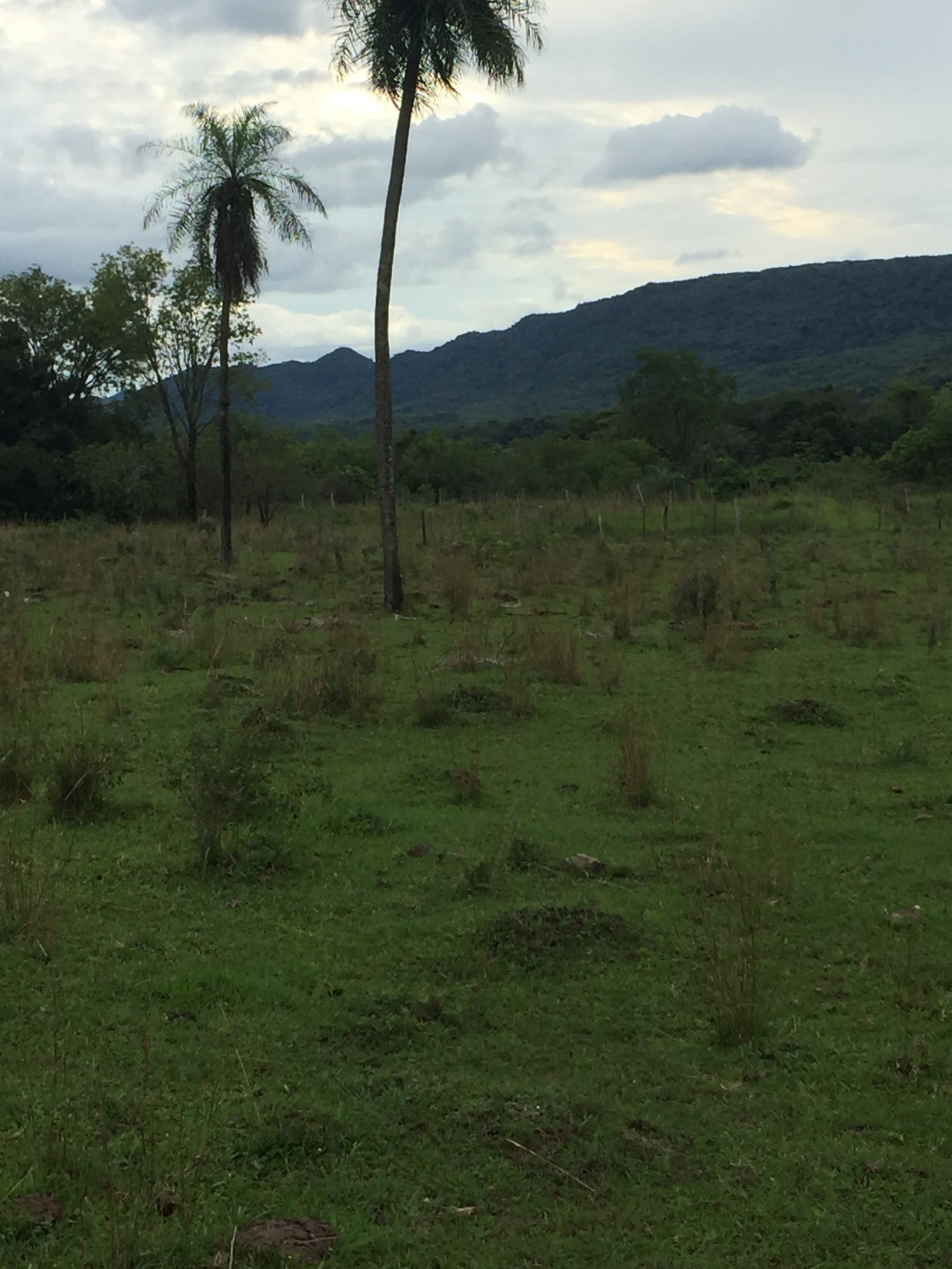 !!terreno En Sapucai: ¡63,000 M² Gran Potencial!! — foto 3