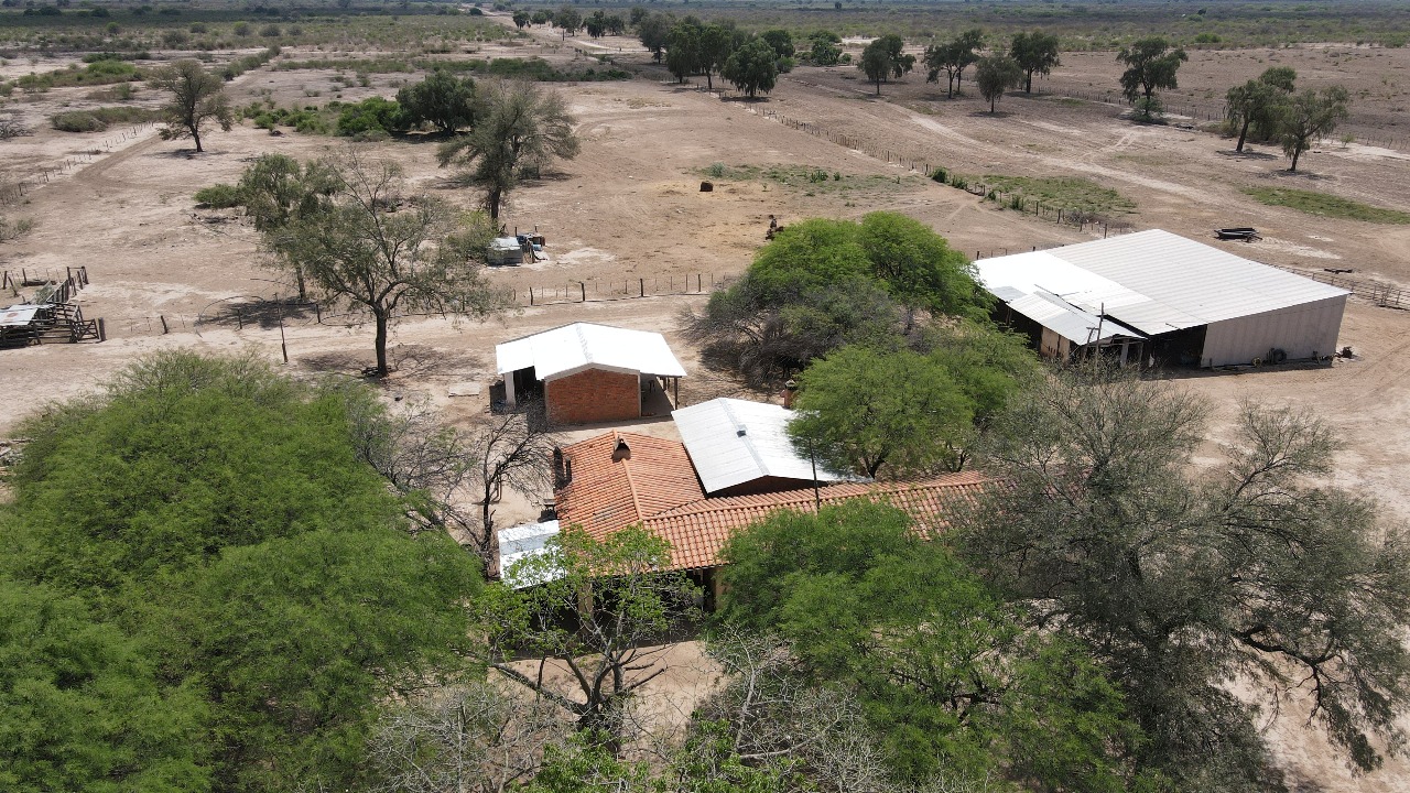 Vendo Campo de 7.031 Hectáreas en Zona Prat Gill, Boquerón - CLCS7315976 — foto 3