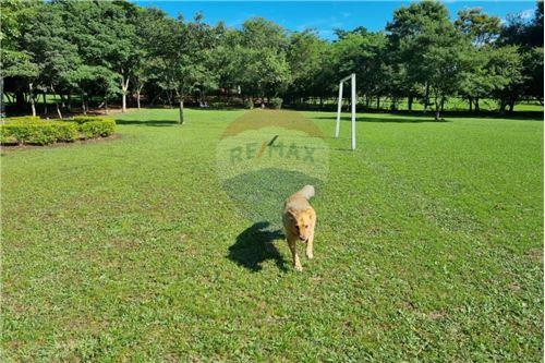 VENDO QUINTA EN LA CIUDAD DE LOMA GRANDE — foto 3