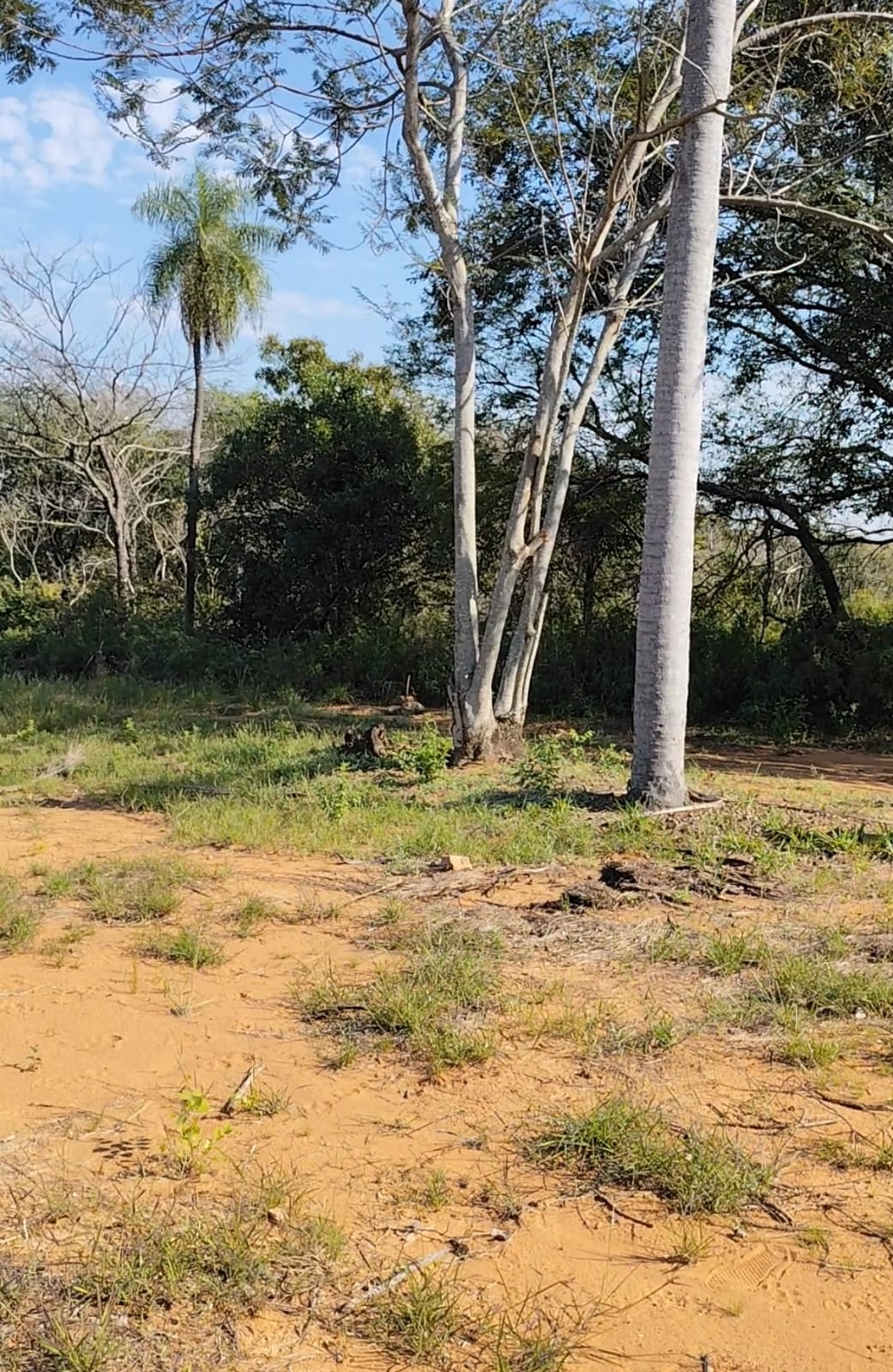 VENDO TERRENO CON VISTA AL LAGO EN SAN BERNARDINO — foto 3