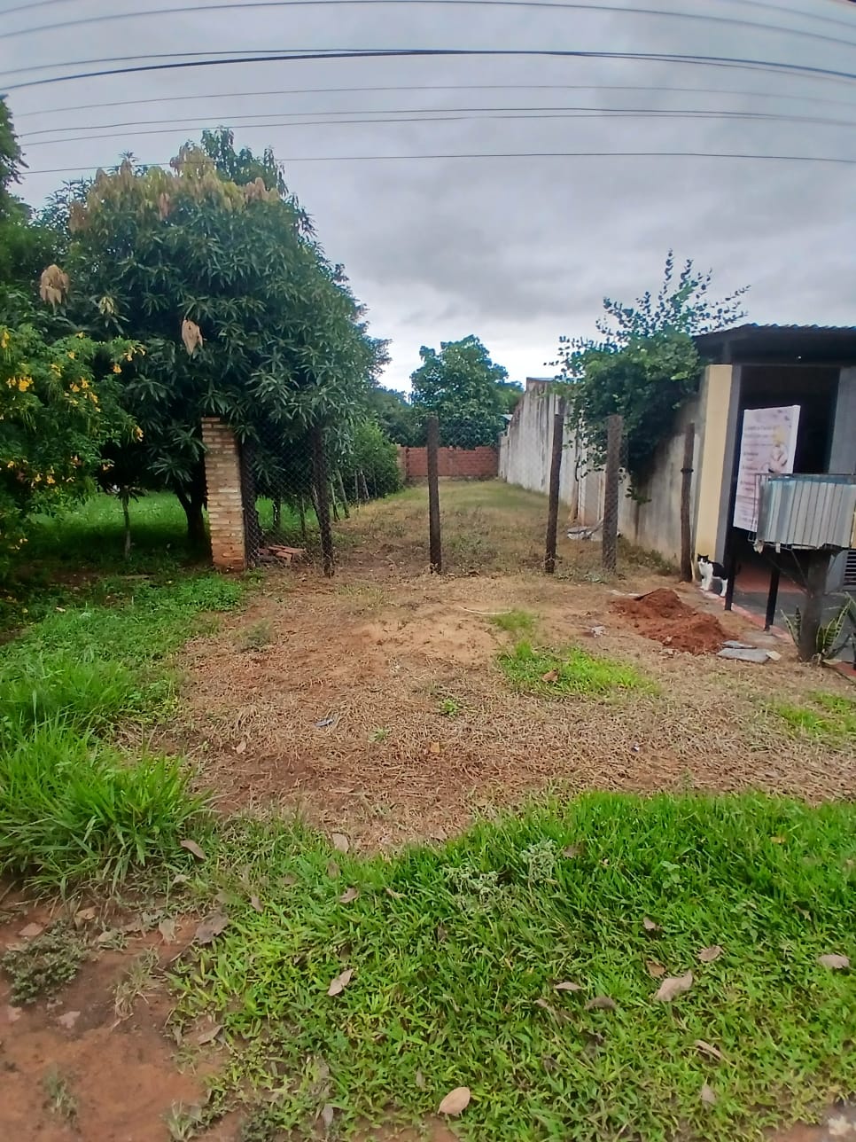 Terreno — foto 2