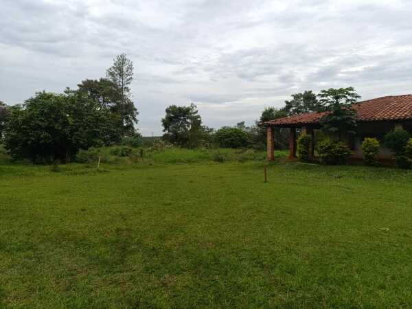 VENDO 40 HECTAREAS EN MINGA GUAZU  KM 28 ALTO PARANÁ — foto 2