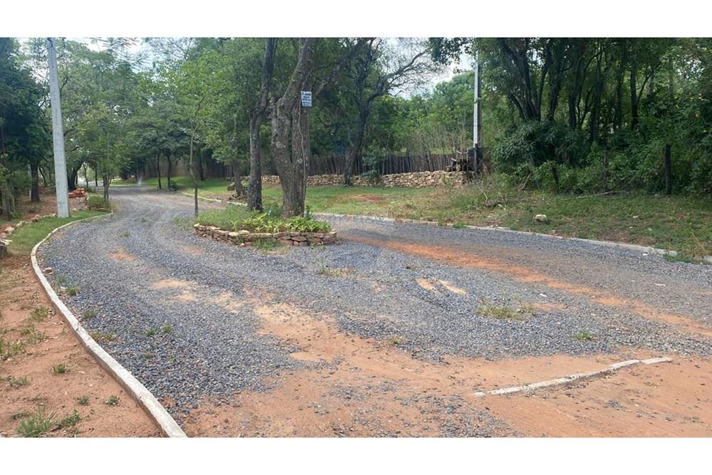 VENDO TERRENO EN SAN BERNARDINO CIERVO CUA 10.000 M2 — foto 2