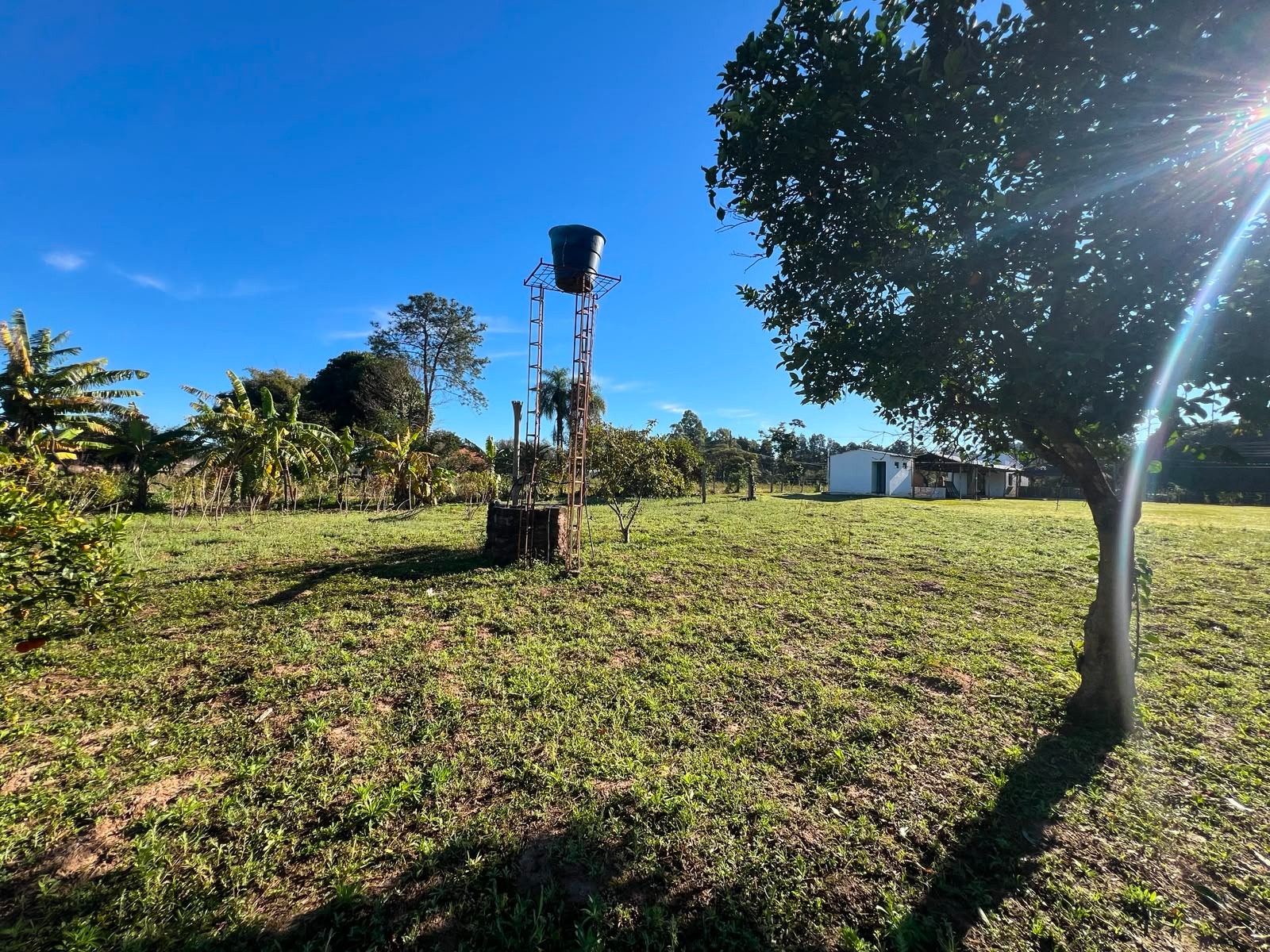 Vendo Propiedad Comercial Sobre Ruta en Mbocayaty, Loma Barreto — foto 3