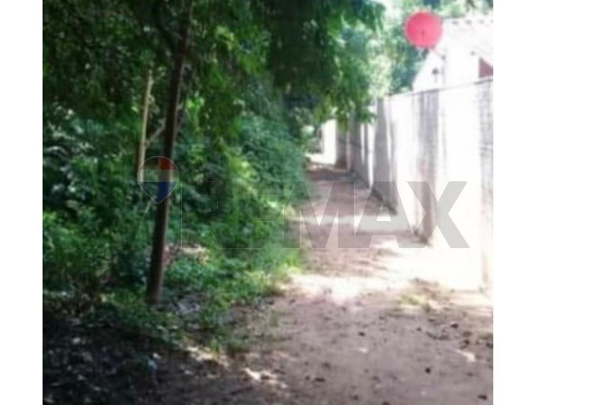 ???? Vendo 4 terrenos en excelente ubicación en Piribebuy — foto 3
