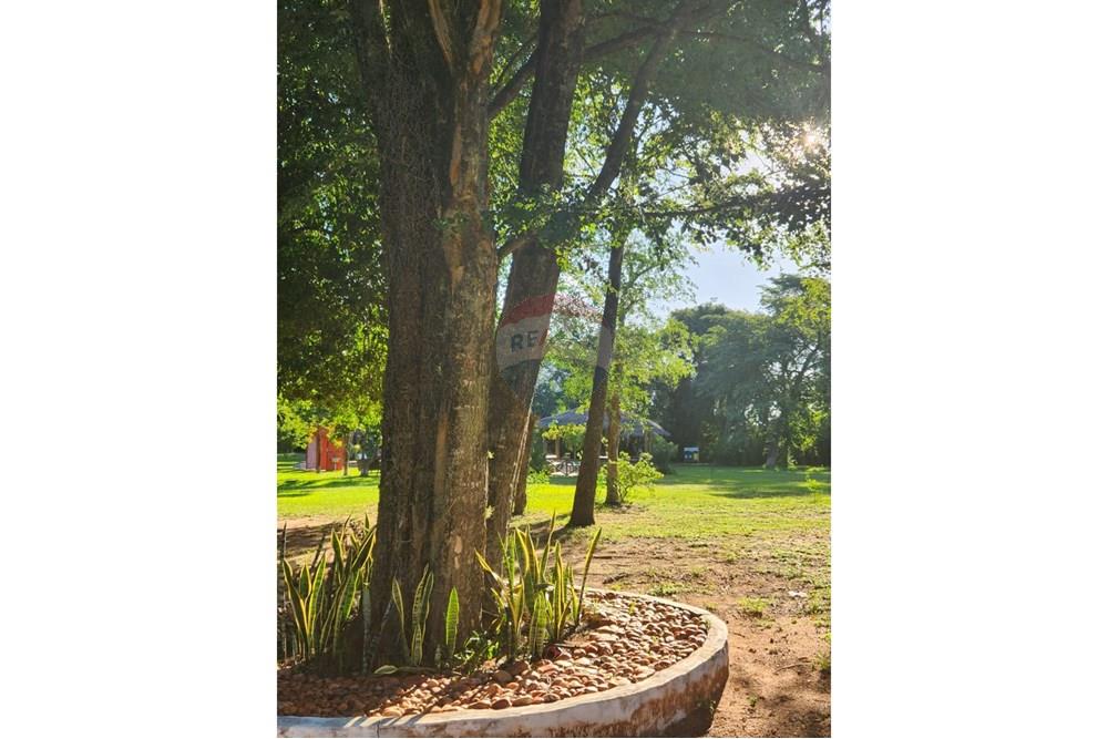 Casa en venta en San Bernardino — foto 3