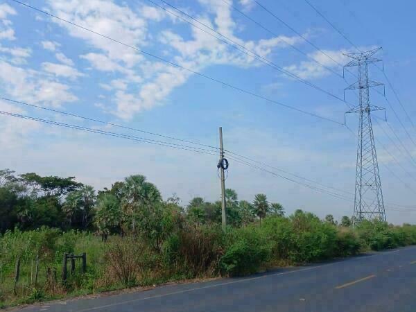 VENDO PROPIEDAD DE 21 HECTAREAS EN FALCÓN SOBRE RUTA — foto 2