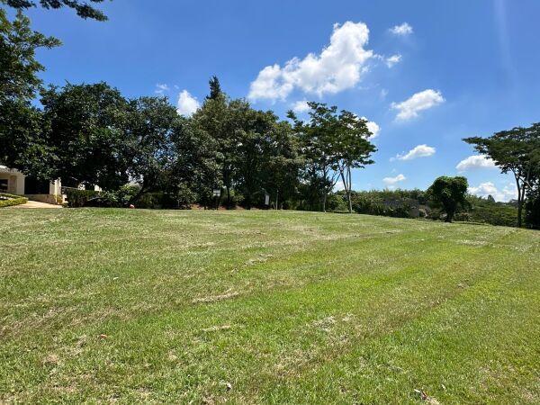 VENDO AMPLIO TERRENO CON VISTA AL RIO EN EL PARANA COUNTRY CLUB — foto 3