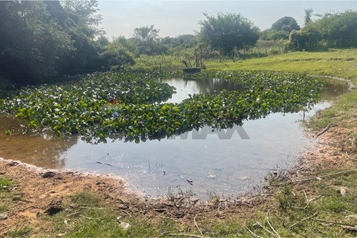 Granja - Venta - Villeta, Central, Paraguay — foto 3