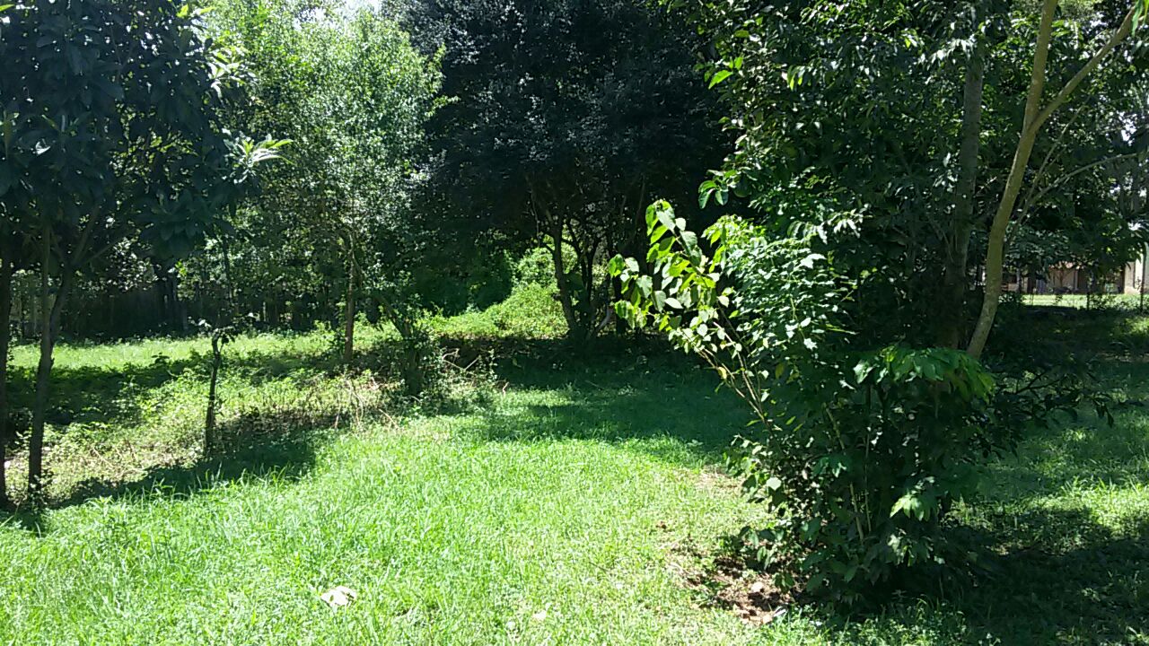 Excelente oportunidad de Negocio — foto 2