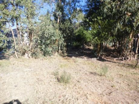 Terreno: 0e0te124lt Las Toscas Norte