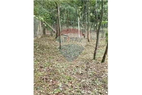 Terreno en venta en San Bernardino — foto 3
