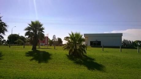 Logística En Ruta 5 - Predio Con Deposito Y Oficinas