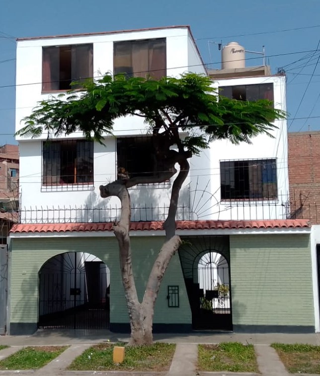 Departamento en alquiler en Chorrillos