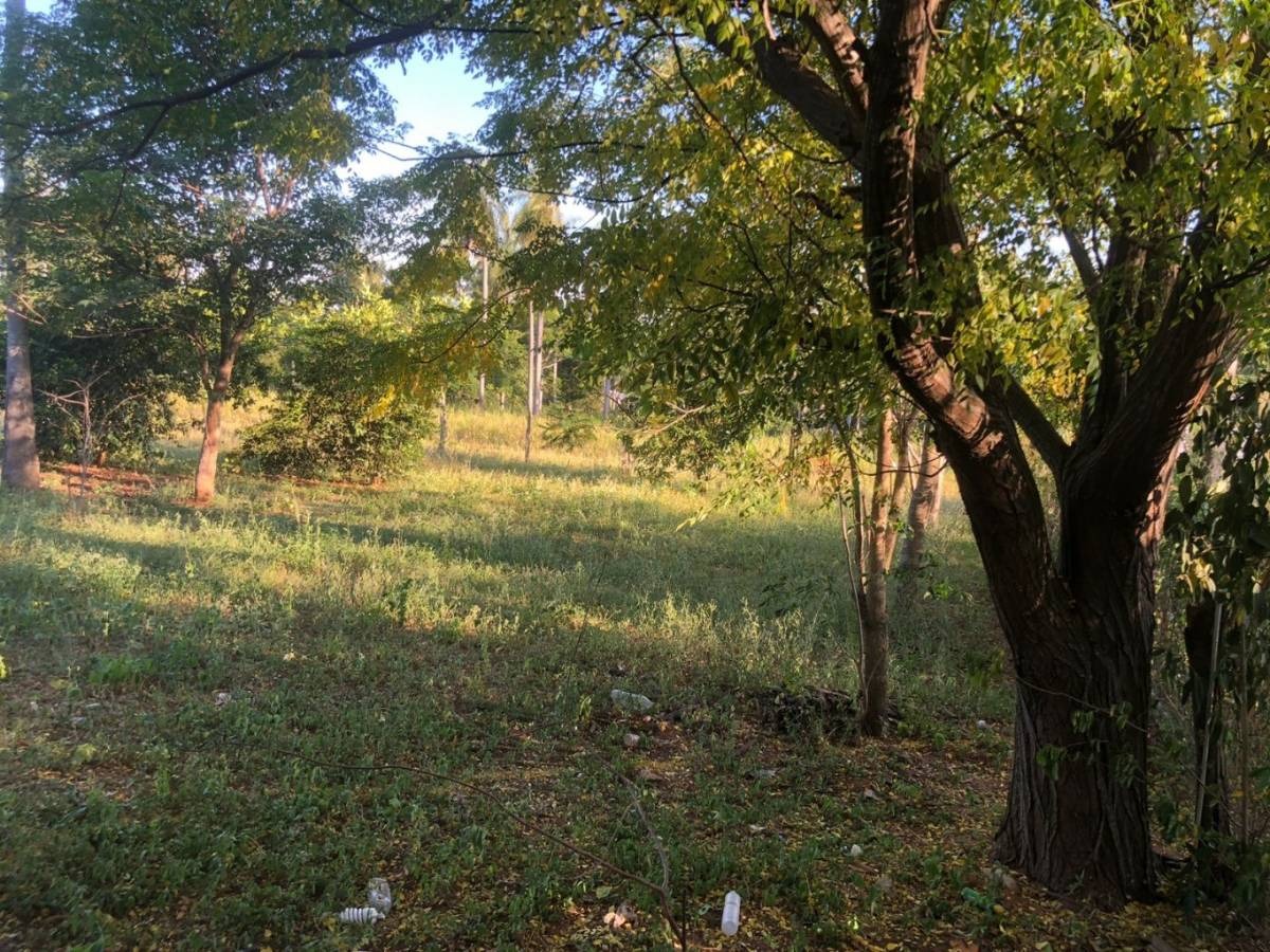 VENDO PROPIEDAD LOMA GRANDE — foto 2