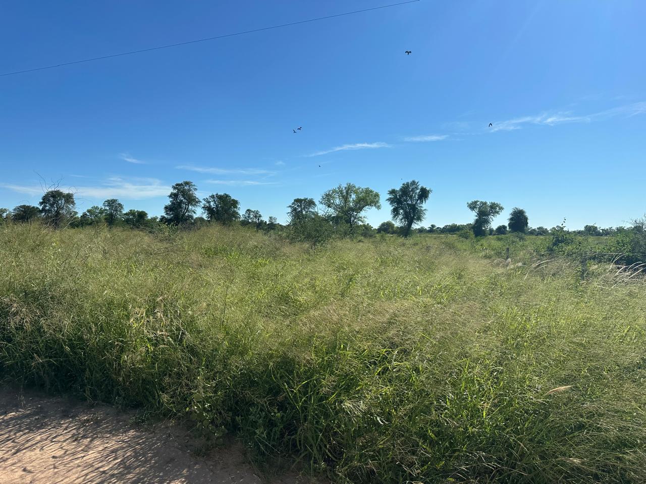 Vendo Estancia Agrícola de 7.974 Hectáreas en Zona Pirizal - CLCS8176611 — foto 2