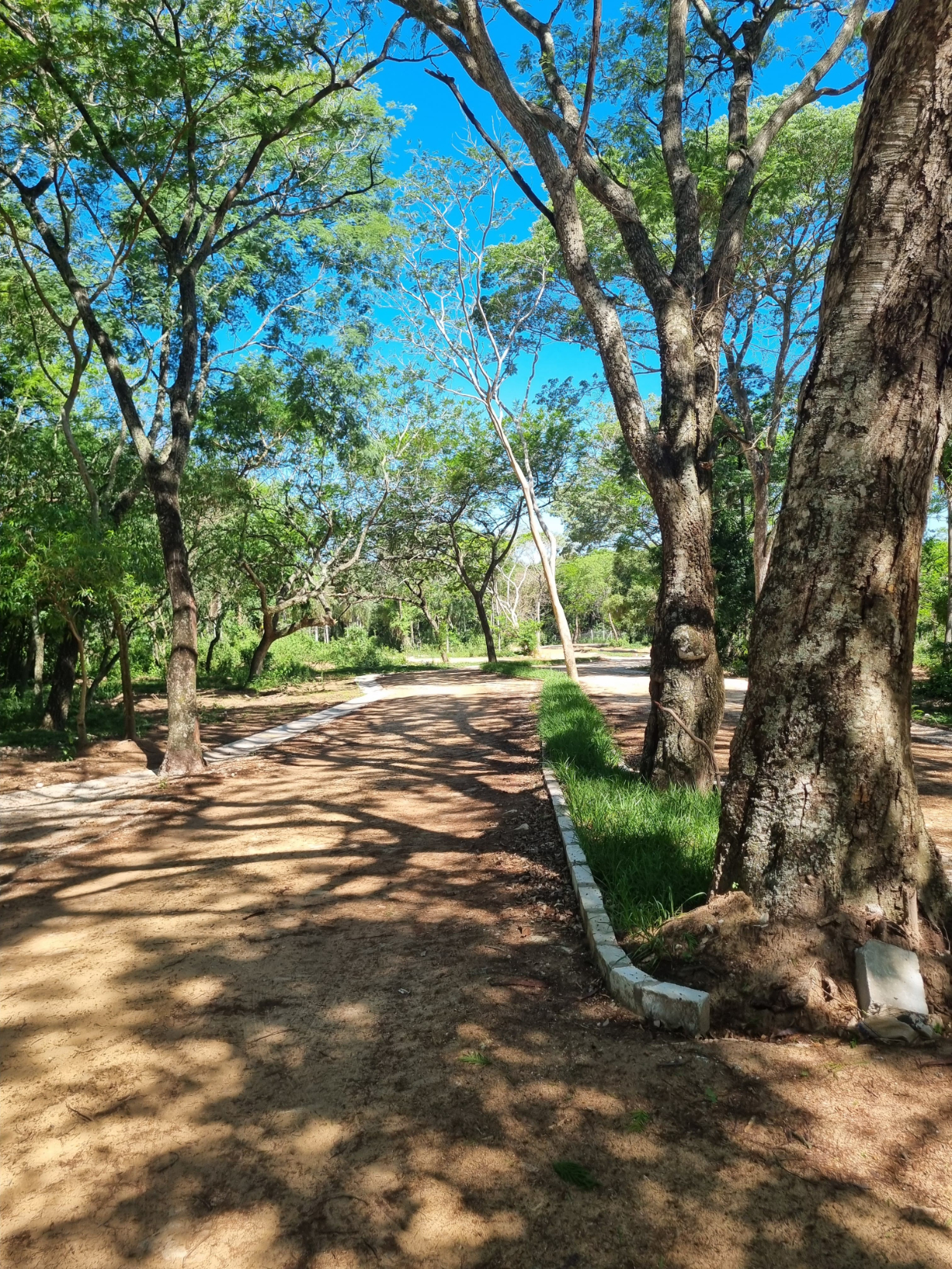 NUEVO BARRIO CERRADO — foto 3